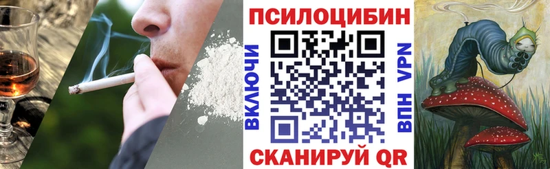 Псилоцибиновые грибы GOLDEN TEACHER  Ленск 